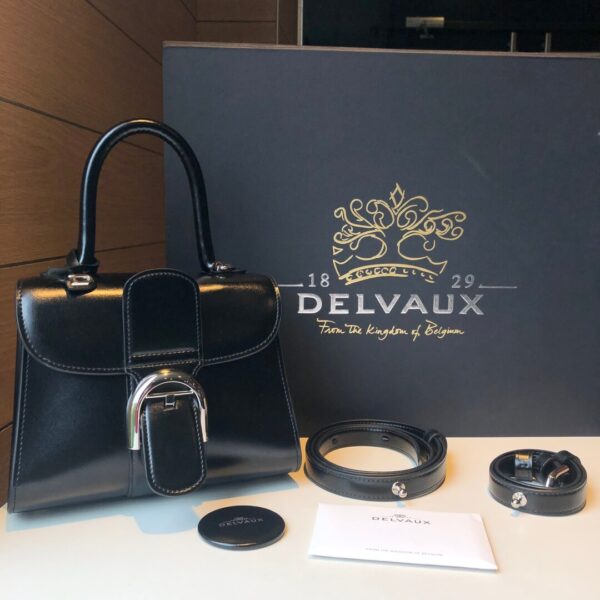 Delvaux Brilliant Mm Box Calf Leather Black Bag